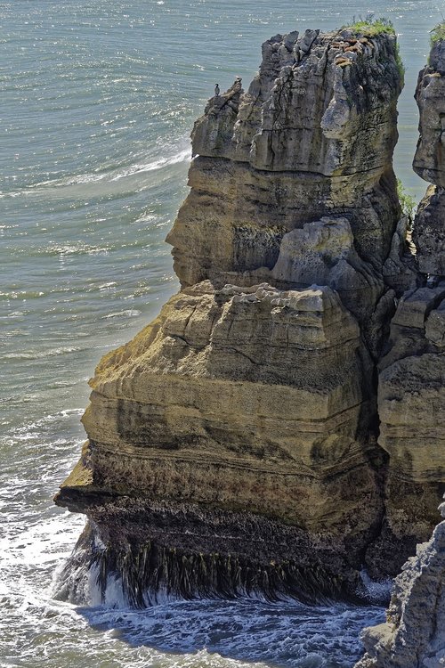 new zealand  south island  paparoa national park