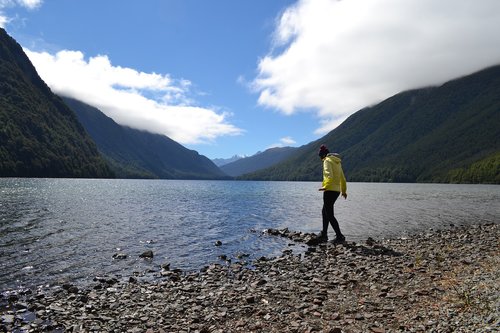 new zealand  lake  national park