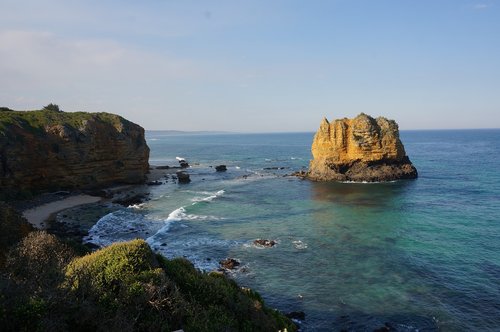 new zealand  coast  sea