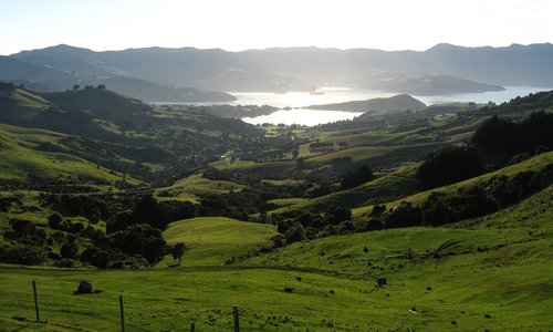 new zealand  hills  vista