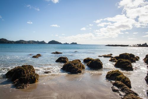 new zealand pacific beach