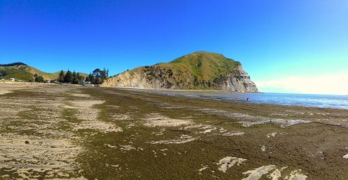 new zealand beach sea