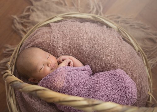 newborn  baby  portrait