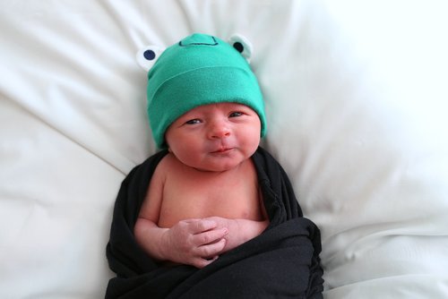 newborn  frog  green