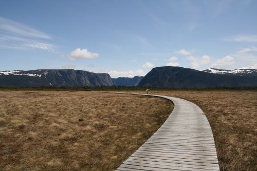 newfoundland pathway landscape