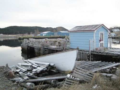 newfoundland ocean water