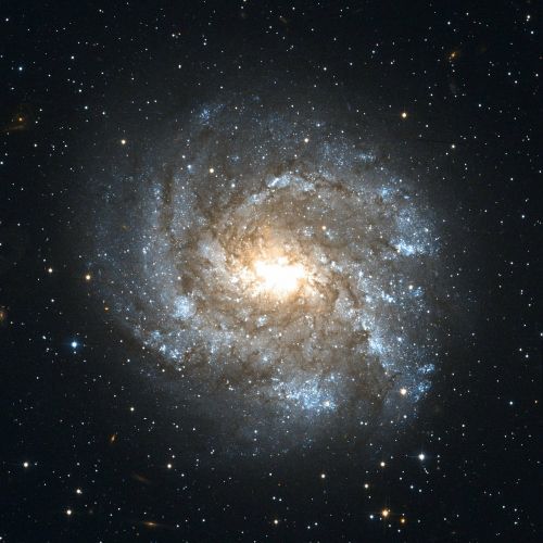 ngc 2082 barred spiral galaxy constellation schwertfisch