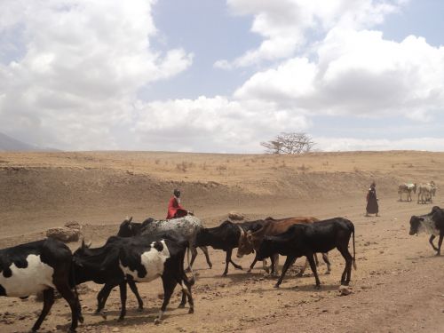 ngorongoro tanzania masai