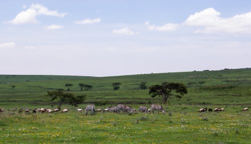 ngorongoro conservation area tanzania nature