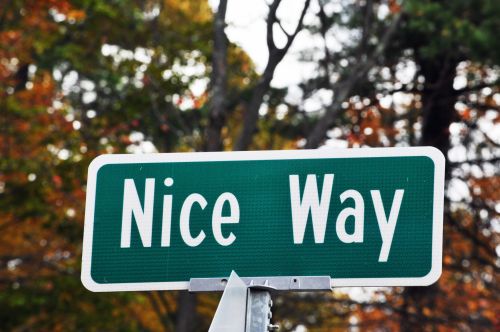 Nice Way Street Sign
