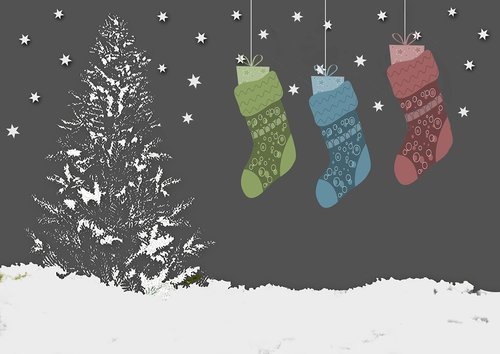 nicholas socks  fir tree  snow