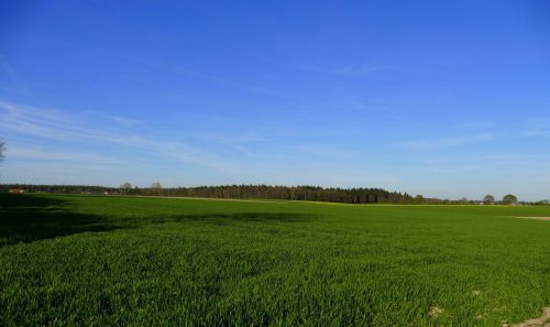 niederrhein landscape reported
