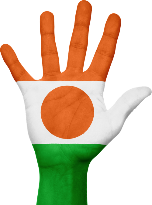 niger flag hand