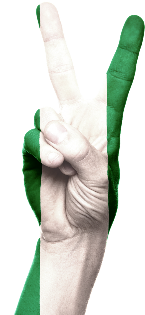 nigeria flag hand