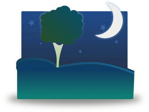 night landscape tree