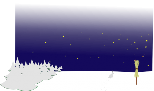 night winter forest