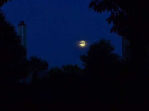 night moon setting moon