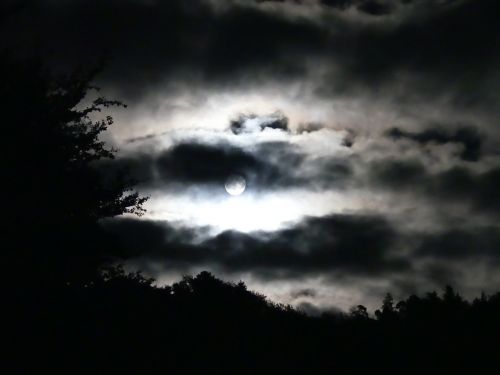 night full moon dark