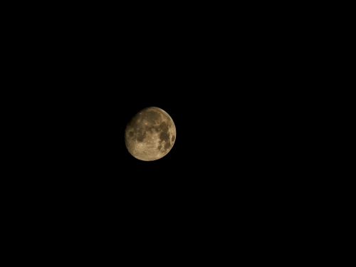 night moon lunar