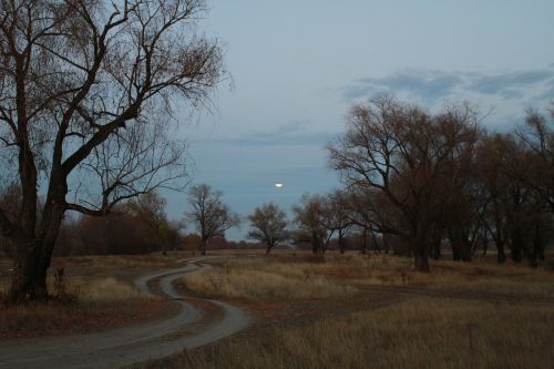 night road moon