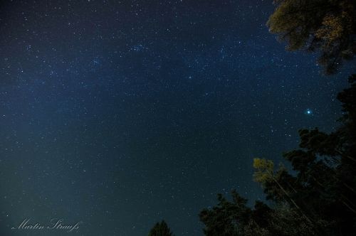 night star milky way