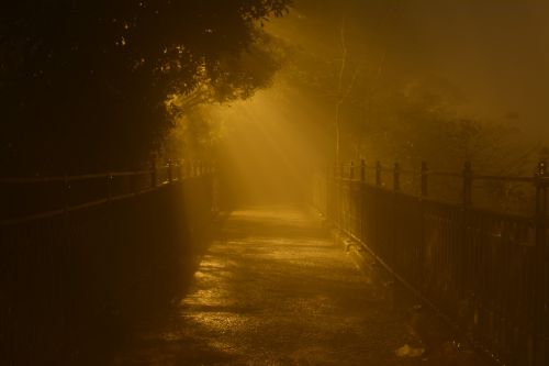 night hong kong light