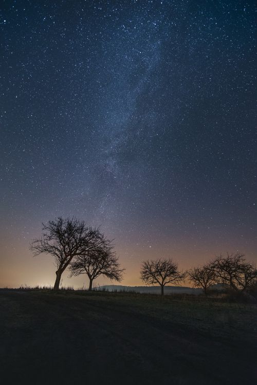 night nature night sky