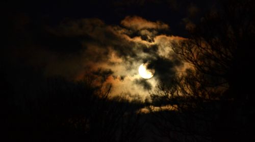 night full moon light