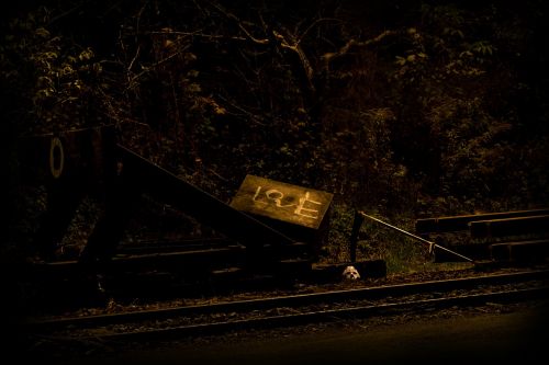 night autumn track