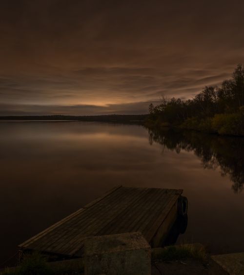 night forest water