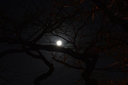 night  sky  moon