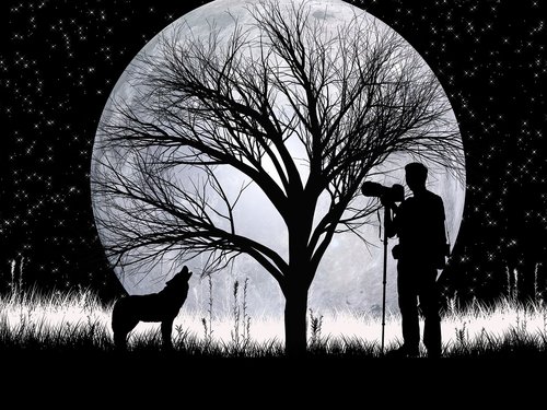 night  photographer  silhouette