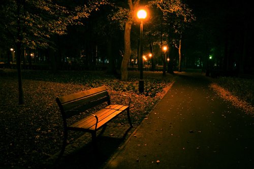 night  park  bench