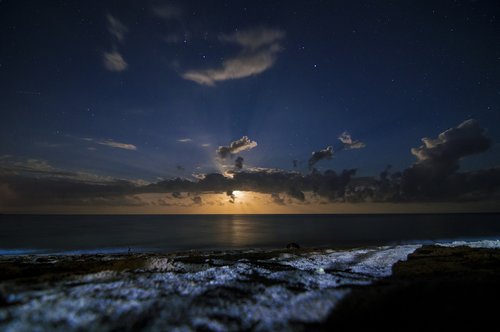 night  beach  sea