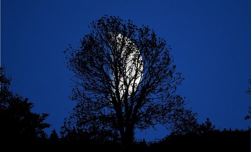 night  moon  landscape