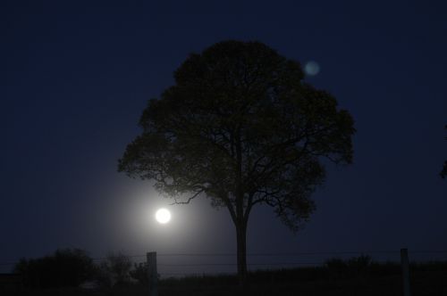 night nature moon