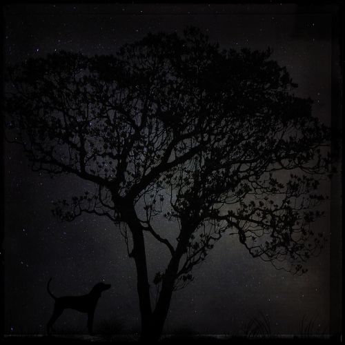 night dark landscape