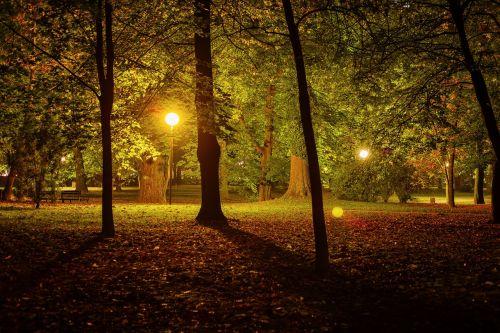 night park city park