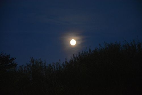 night landscape moon night