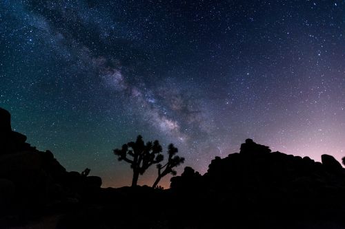 night sky stars desert
