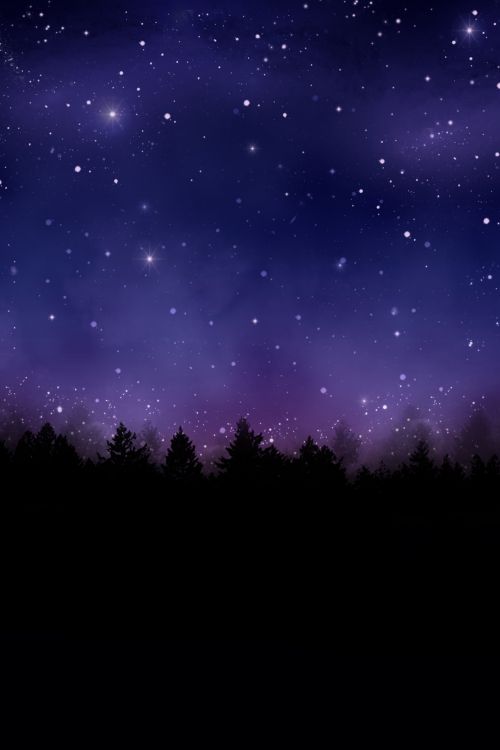 Night Sky Pines