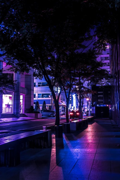 night view  purple  alley