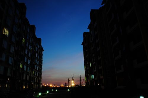 night view silhouette starry sky