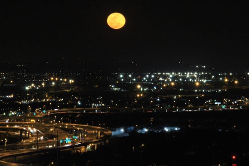 nightlife moon cityscape