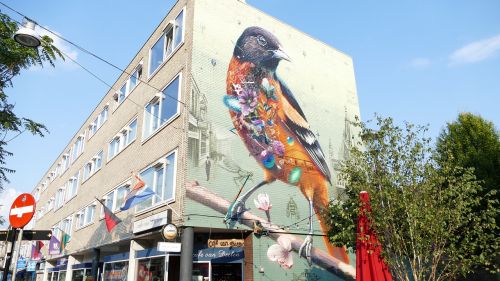 nijmegen wall painting bird
