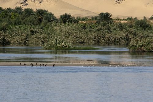 nile egypt tranquil