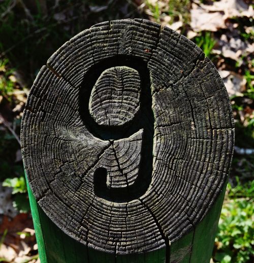 nine wood number