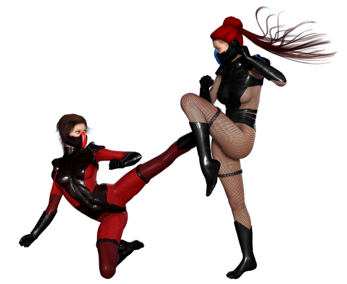 ninja girls fighter
