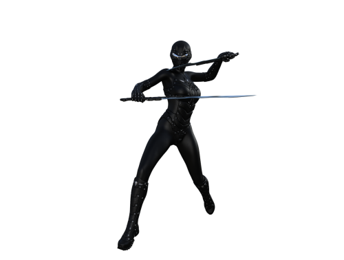 ninja warrior character