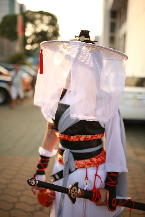 ninja hero samurai